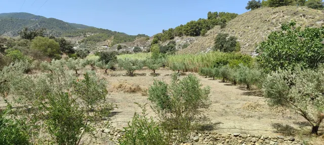 Casa de campo con terreno en Purchena ( Almería ) — 32