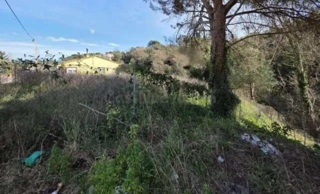 ¡Construye la casa de tus sueños en Àgora Park — 3