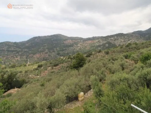 Fantástica Finca Rustica en el Pueblo de Biniaraix — 10