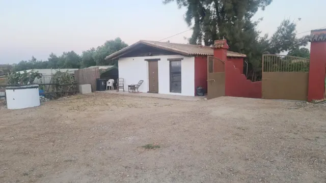 Espectacular finca de 19.000 m2 con 2 casas en Moguer (Huelva) — 17
