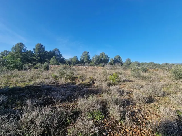 Venta de Finca Rústica en Pont d'Alentorn, Tarragona - 13000 - foto 5