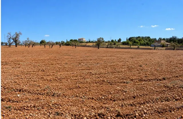 Finca rústica con posibilidad de vivienda en Ariany — 15