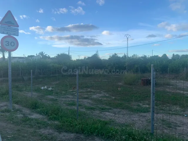 Parcela Urbana en plena huerta de Murcia - foto 3