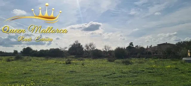 Terreno rústico en venta con excelente accesibilidad y vista - foto 4