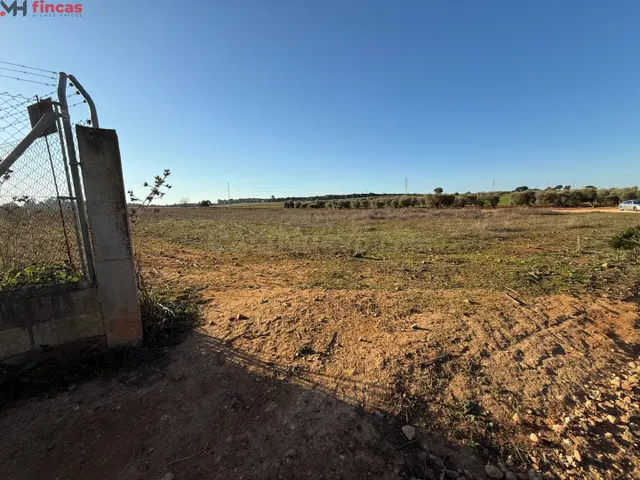 Inversión Destacada en Carmona, Sevilla 16.000Mt rústicos - foto 3