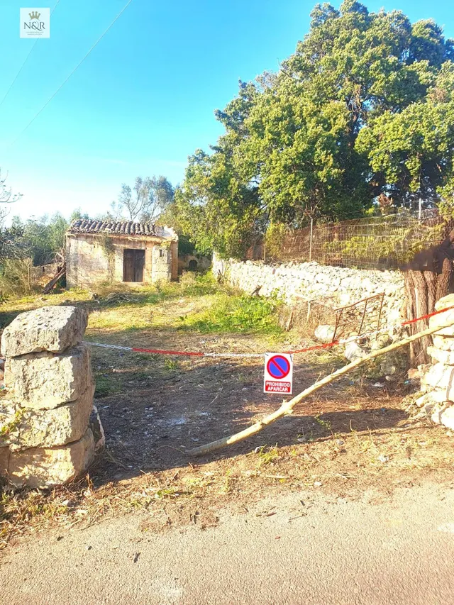 FINCA RÚSTICA EN MURO CON CASETA DE 28 M2 - foto 2
