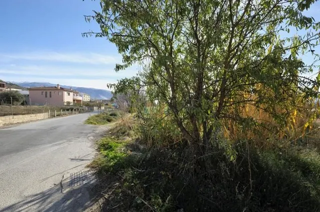 Gran parcela en Padul — 13