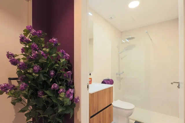 Villa de 4 dormitorios en Santa Rosalía — 36
