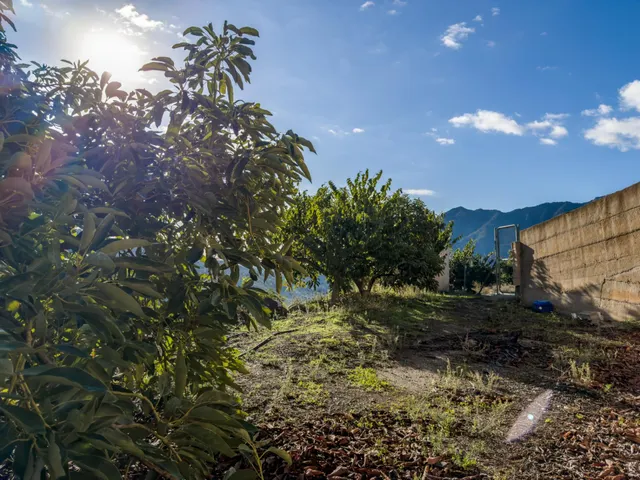 Finca rústica de AGUACATES con CONTRUCCIÓN de 37 m2 en Los Guájares (Faragüit) — 23