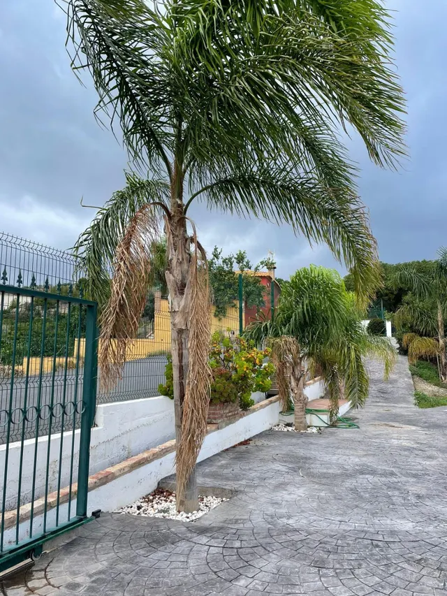 Cortijo en Salobreña - foto 2