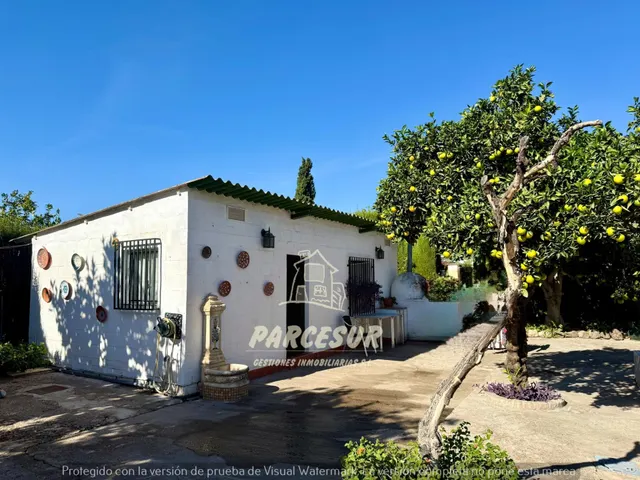 Chalet independiente en El Alcaide: espacio, comodidad y vida al aire libre — 31