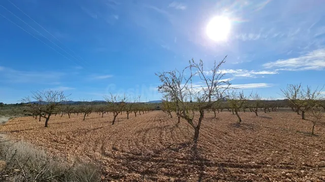 Parcela en venta - Comunidad valenciana
