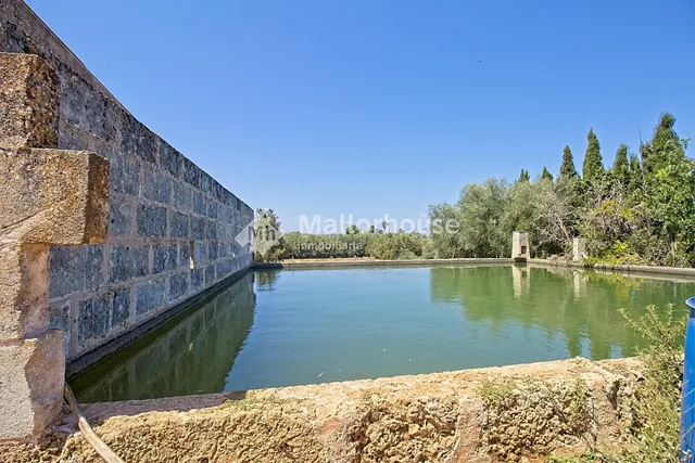 Finca rústica 1 habitación 600m² en venta - Son sant martí - foto 5