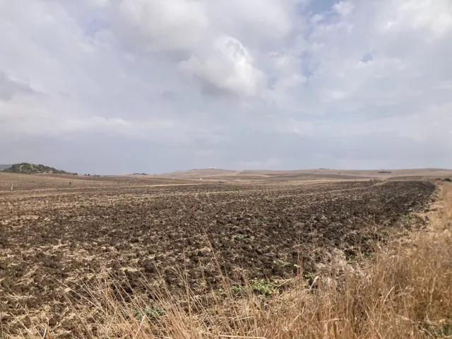 PARCELA RÚSTICA EN LA CARRETERA VEJER- EL PALMAR — 3