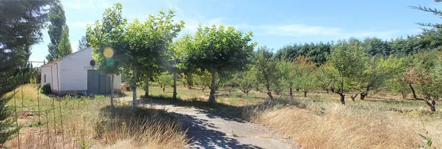 Parcela, con casa y nave — 11