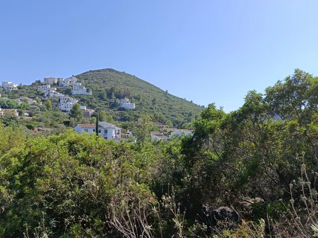 Excepcional terreno de 4.000 m2 en Montepego — 5