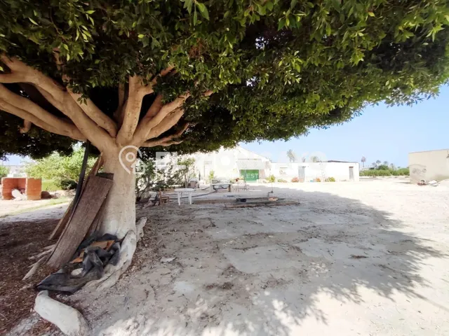 Fantástica casa de campo con parcela en la zona del campo de Elche, Alicante, Costa Blanca — 6