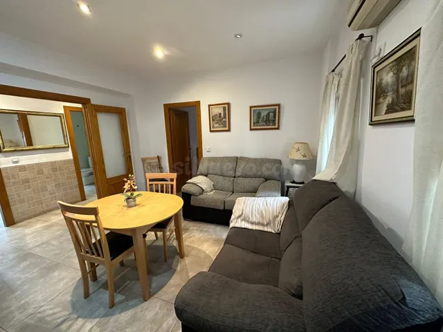 PISO 2 DORM + 1 BAÑO AMUEBLADO EN LA VIÑA-SAN JOSE - foto 3