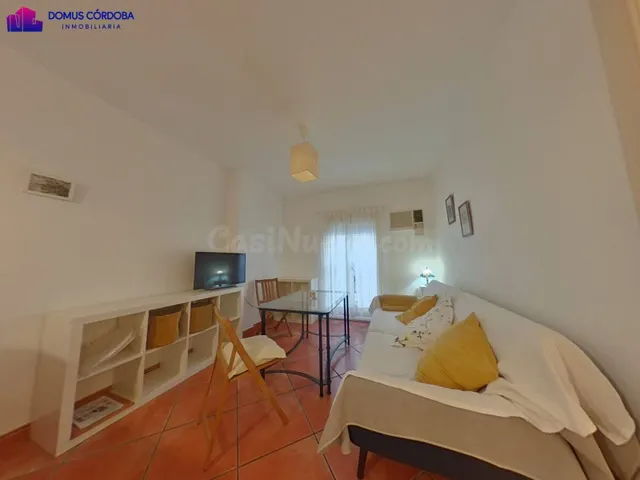 MAGNIFICO APARTAMENTO EN LA JUDERIA - foto 2
