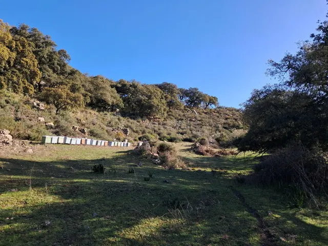 ¿Quieres construir el hogar de tus sueños en un enclave idíl - foto 3