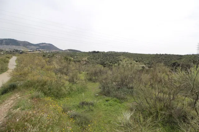 FINCA EN CORTIJO SAN JERÓNIMO (BARTODANO) — 22