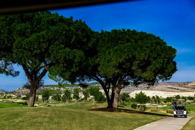 Apartamento 2 habitaciones 80m² en venta - Desamparados-Hurchillo-Torremendo — 21