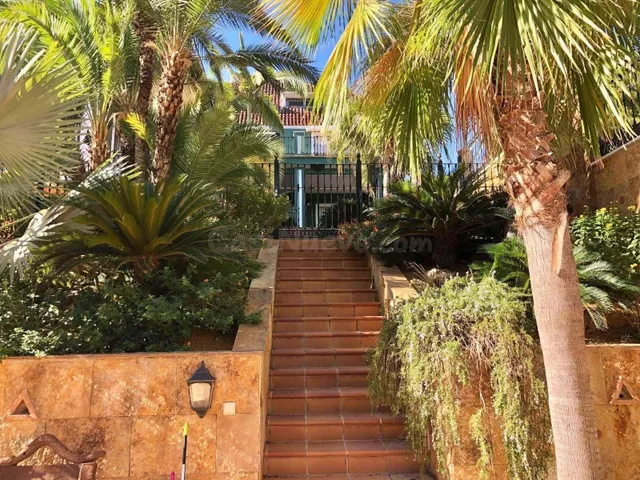 Villa 6 habitaciones 1150m² en venta - El Palmar - foto 3