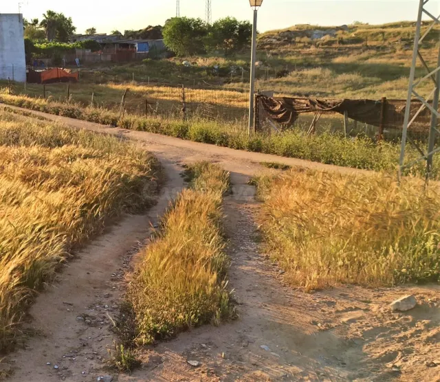 Terreno en el pueblo de Gerena - Sevilla con 2.515 m2 - foto 2
