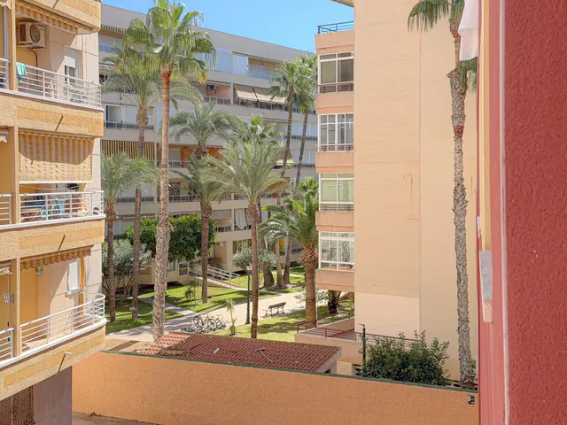 Playa de los Locos! Amplio apartamento (Año 2007) con terraza grande y vistas al palmeral ( 220 mts playa) — 12