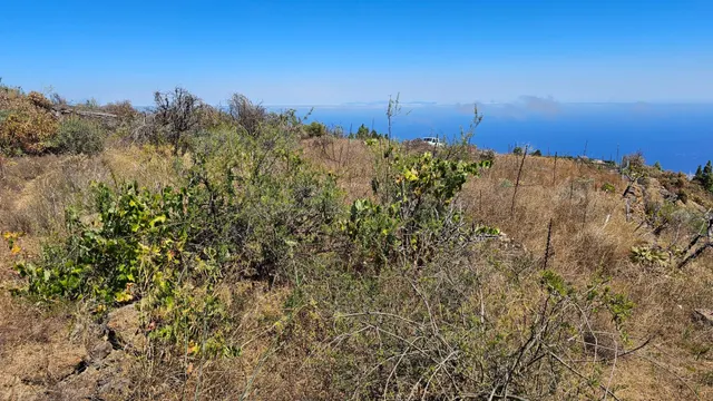Oportunidad Única: Terreno Rural en La Zarza, Fasnia por sol - foto 2