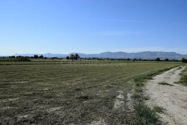 Parcela de 80 tahullas con casa de aperos y piscina en Catra - foto 2