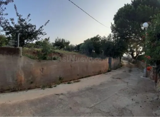 TERRENO URBANO EN CAÑAVERAL - foto 3