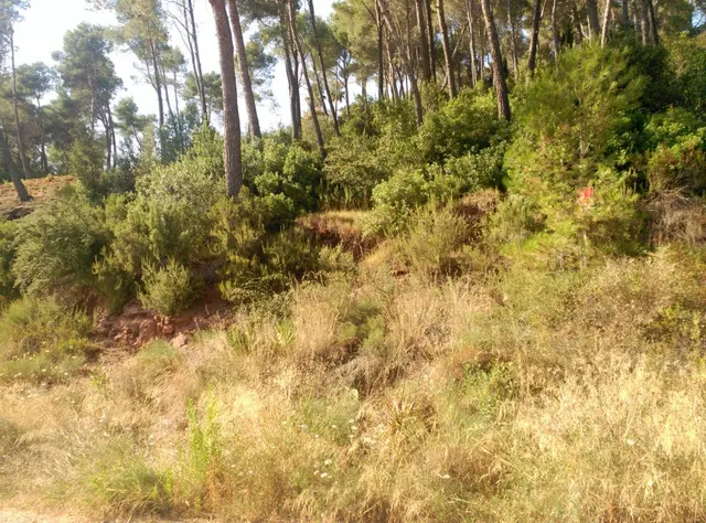 Espectacular terreno que da a dos calles, en Corbera de Llobregat, cerca Hotel Can Fisa. — 17