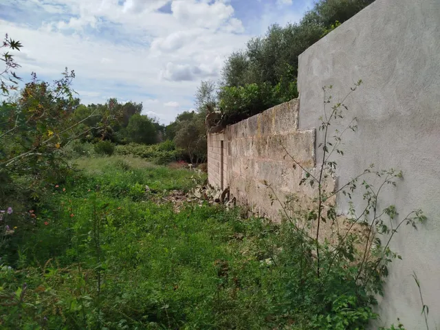 Solar en Muro — 7