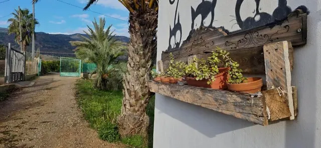 Casa de campo con parcela rústica de 2.600 m2. — 5