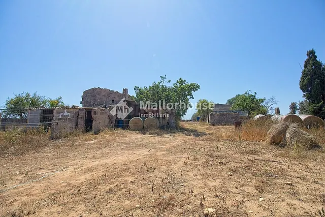 Finca rústica 1 habitación 600m² en venta - Son sant martí - foto 4