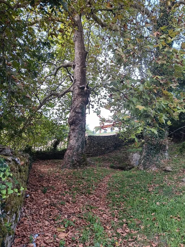 Venta de Casa con Terreno en Valle de Mena — 8