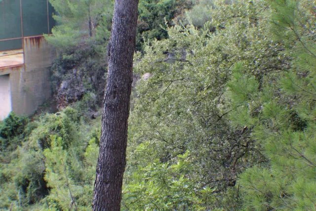 LA NORIA VENDE PARCELA URBANA EN BENICASSIM CASTELLON URBANIZACION EL REFUGIO DESIERTO LAS PALMAS — 29