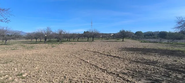 Proyecto de una casa de planta baja lujosa y piscina — 31