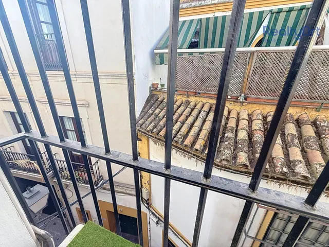 PISO EN ALFALFA -SANTA CRUZ - foto 5
