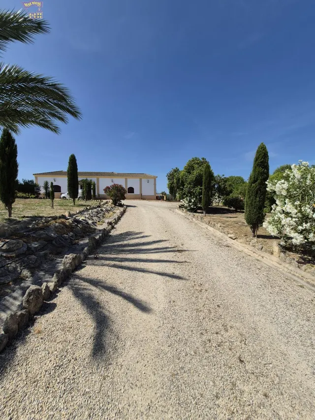 SE VENDE FINCA RÚSTICA EN ZONA DE CARRETERA ARCOS-GIBALBIN — 5