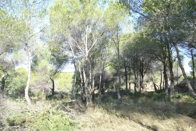Parcela Rústica en el municipio de Cubelles, 5.560 mts2 Corral d'en Cona — 23