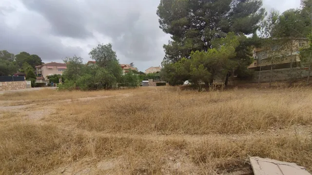 LA MEJOR PARCELA DE ALTORREAL — 6