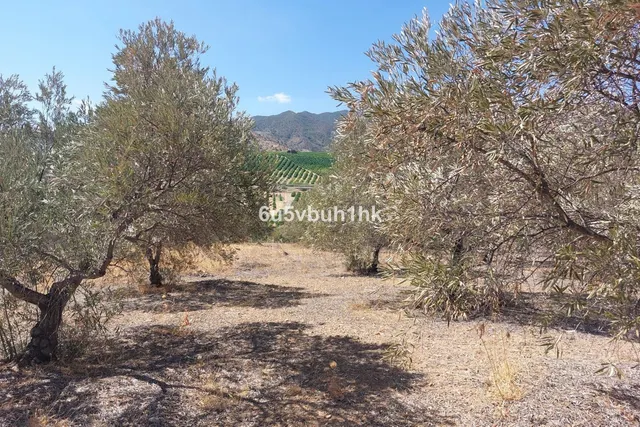 Parcela en venta - Alora pueblo — 8