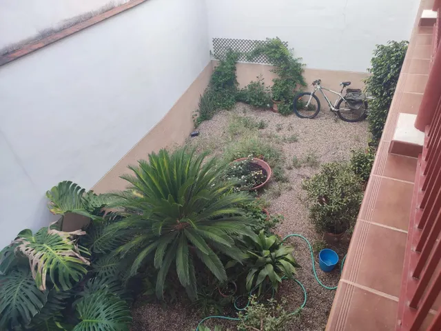 PRECIOSA VIVIENDA SEMINUEVA EN EL CASCO ANTIGUO. DOS DORMITORIOS CON BALCONADA!!!! — 15