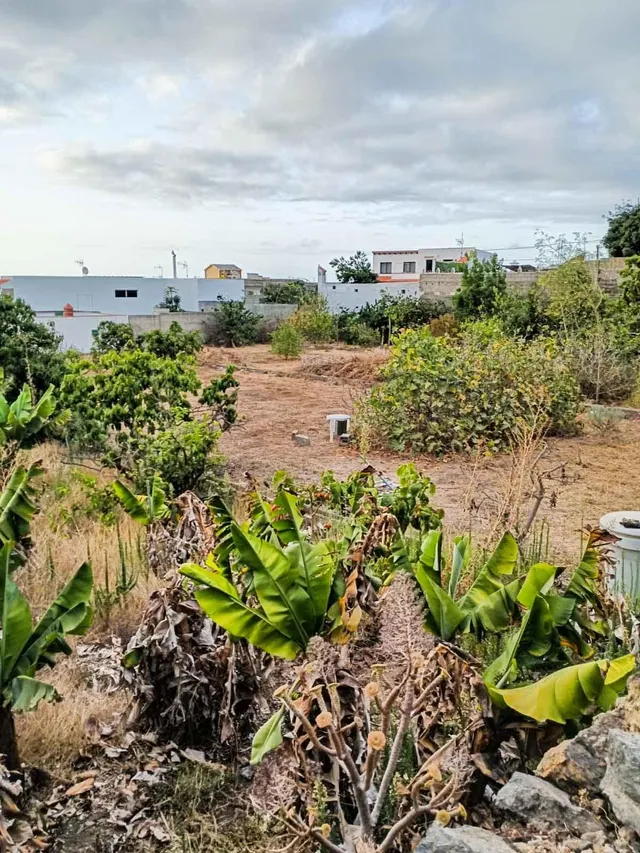 TERRENO URBANO DE 2.500 m2 EN ICOD DE LOS VINOS | OPORTUNIDA - foto 5