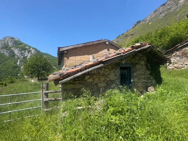 DOS CUADRAS, UNA CABAÑA Y FINCA EN CUEVAS, CON AGUA DE MANAN - foto 4