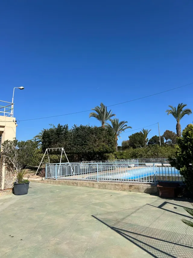 BUSCAS UN CAMPO A 2 MINUTOS DE ELCHE ? — 12