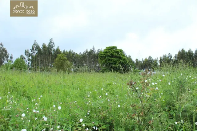 Parcela urbanizable de 3.400m2 en Paiosaco - foto 4