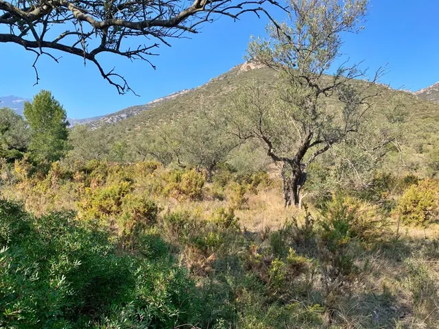 Finca rústica 15m² en venta - Roquetes — 10